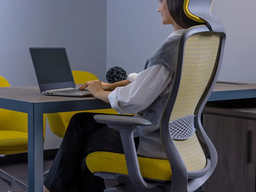 Bel Destekli Çalışma Koltuğu önerisi