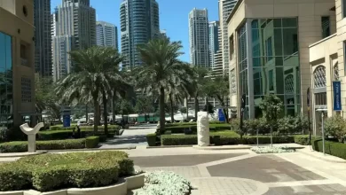 Sandalye döşeme kumaş türleri ve renk seçenekleri